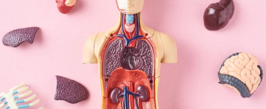 Precision Medicine and Longevity (1)